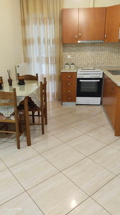 Ομορφο Διαμερισμα Στο Κεντρο Της Πολης Με Παρκιν Apartment Trikala  Luaran gambar