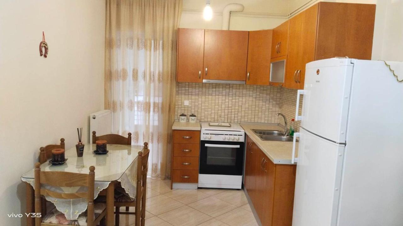 Ομορφο Διαμερισμα Στο Κεντρο Της Πολης Με Παρκιν Apartment Trikala  Luaran gambar